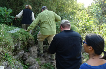 gorilla safari Rwanda